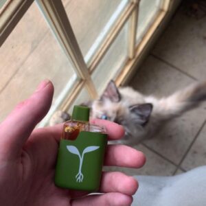 Raw Garden-2g Sauce Disposable All-in-One