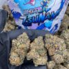 White Zsunami Strain