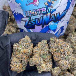 White Zsunami Strain