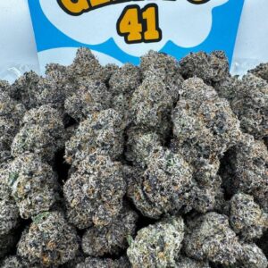 Gelato 41 Strain