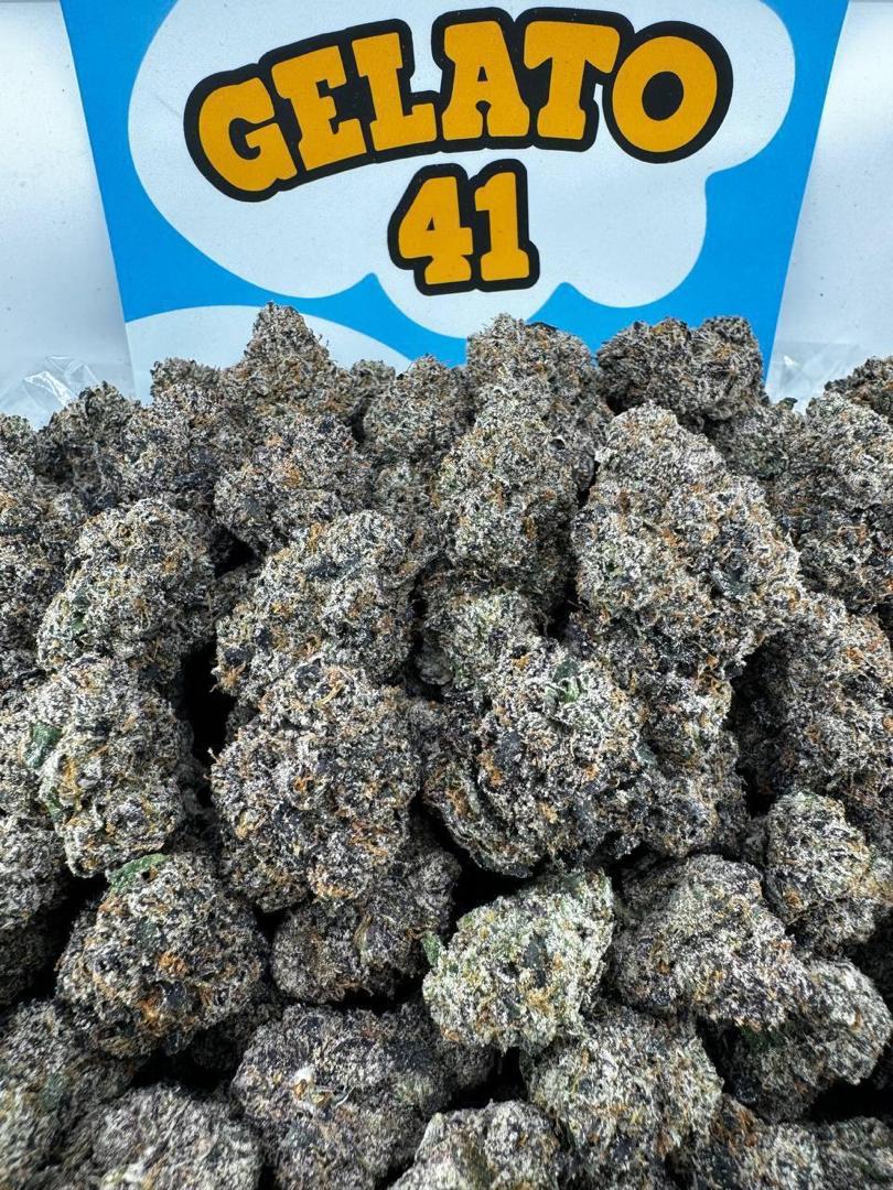 Gelato 41 Strain