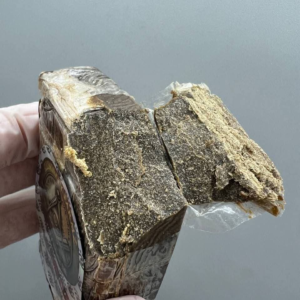 ILLUMINATI FARMZ HASH