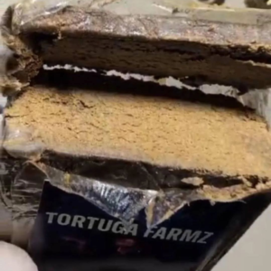 Tortuga Farmz Hash